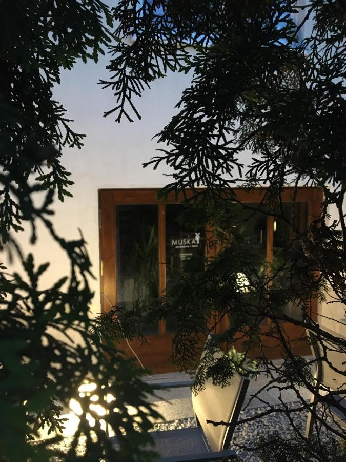 Zdroj Homestay *